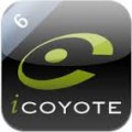 coyote