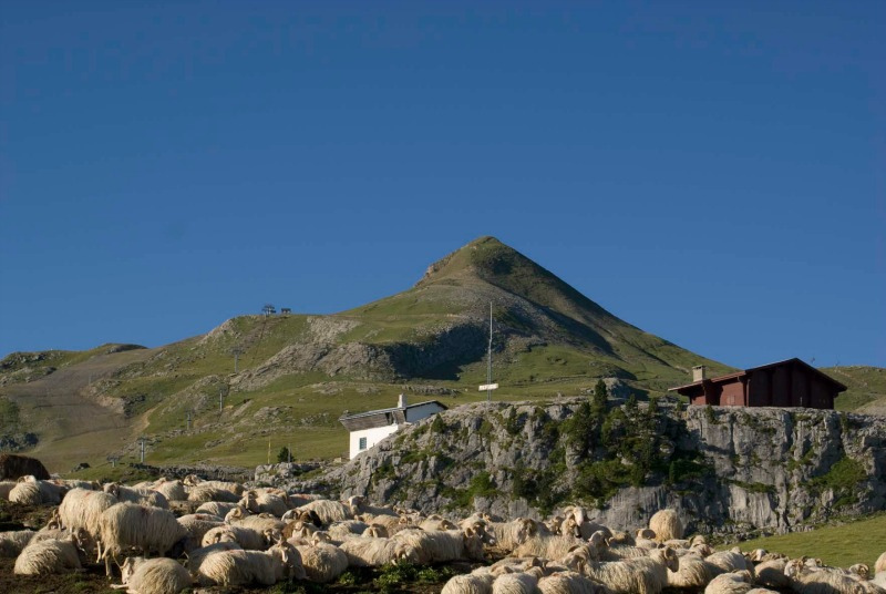 Wikicampers vous rencontre à la Pierre-Saint-Martin