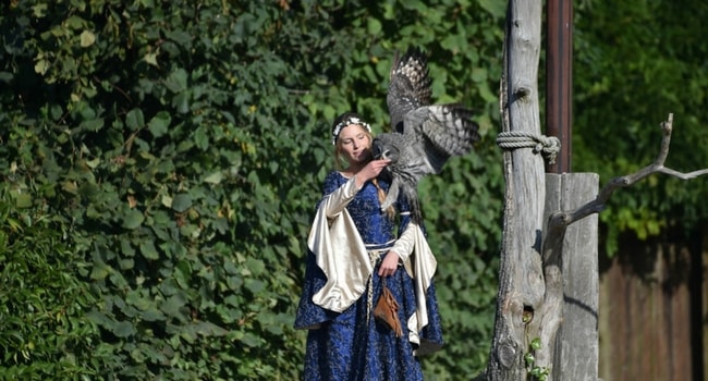 Le bal des oiseaux Puy du Fou