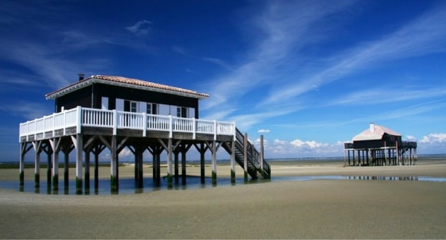 lile aux oiseaux cap ferret