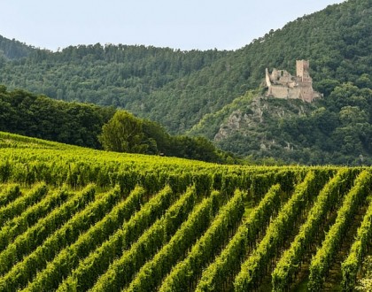 La-Route-des-Vins-d-Alsace-en-camping-car