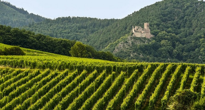 La-Route-des-Vins-d-Alsace-en-camping-car