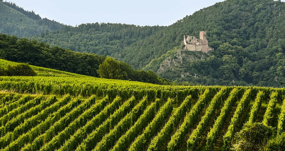 La-Route-des-Vins-d-Alsace-en-camping-car