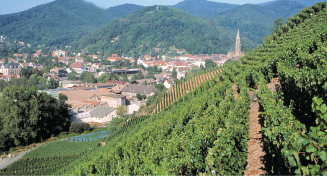 La-Route-des-Vins-d-Alsace-en-camping-car-Thann