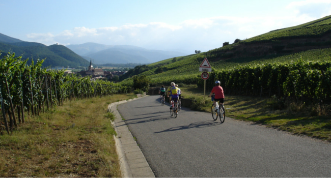 La-Route-des-Vins-d-Alsace-en-camping-car-Velo_Barr