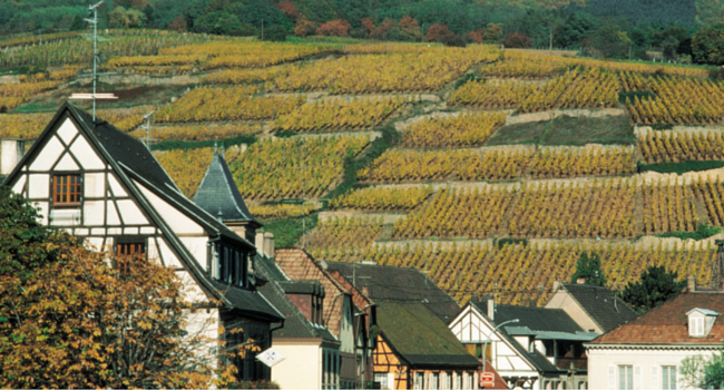 La-Route-des-Vins-d-Alsace-en-camping-car-Ribeauville