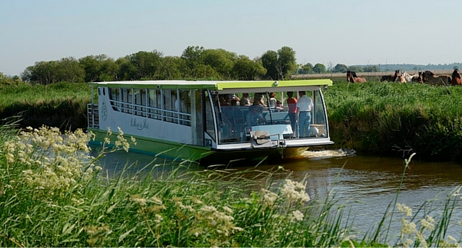 Ballade fluviale sur les marsi du Cotentin