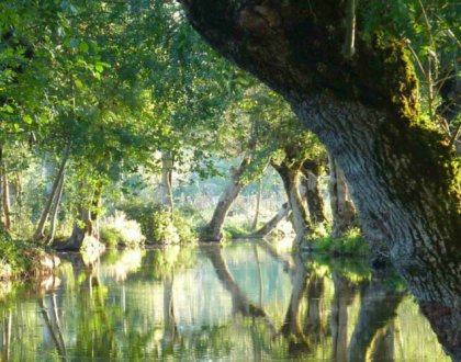 Marais-poitevin_camping_car