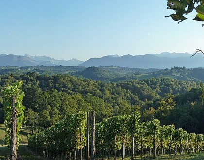 La route des vins du Jurançon en camping-car
