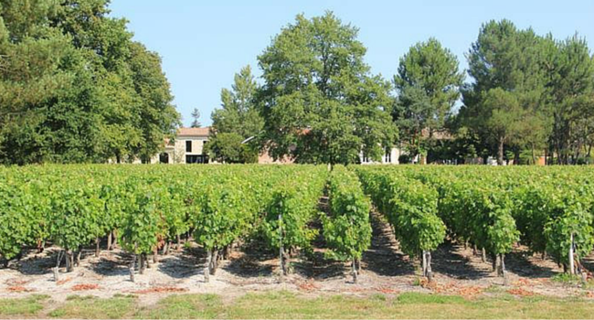 La route des vins du Médoc en camping-car_Château_Baudan