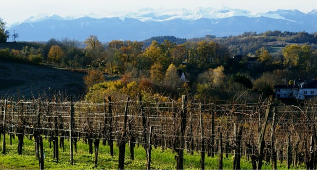 La route des vins du Jurançon en camping-car_Château-Lapeyre