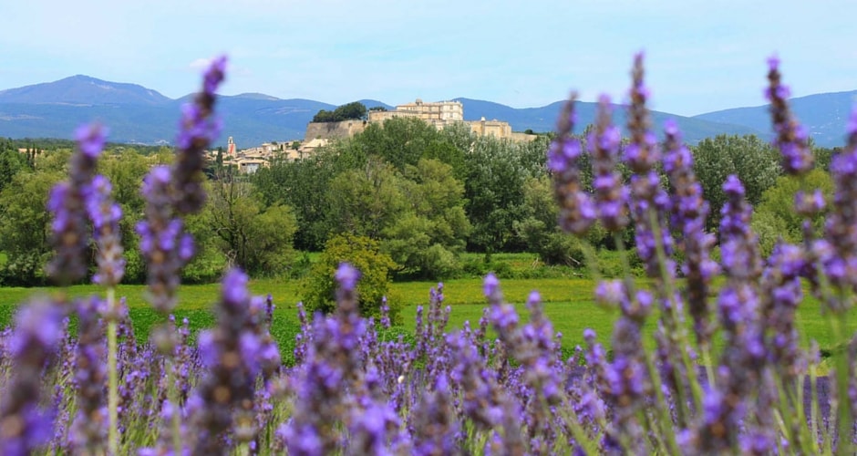 Drome-Provencale-camping-car