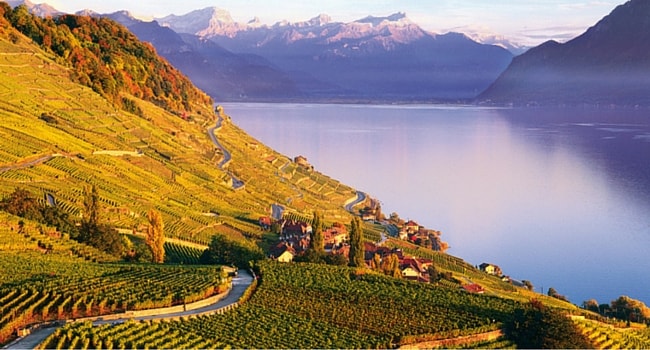 Vignoble-lavaux-lac-leman