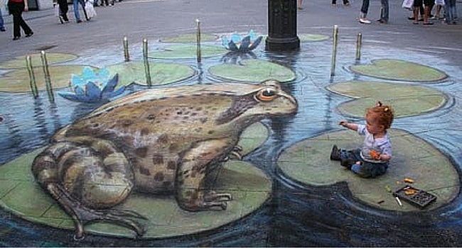 crapaud photo trompe l'oeil