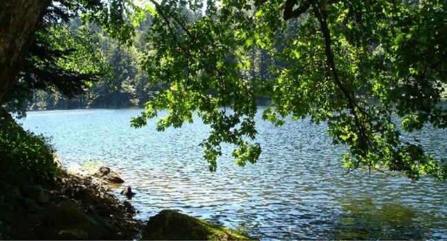 Les Vosges en camping-car