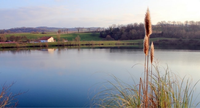 wikifest-lac-de-guiche