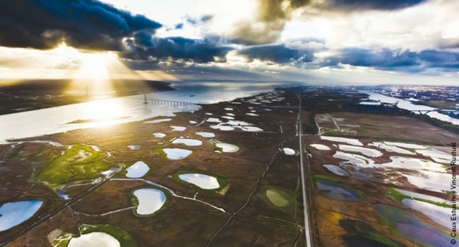 Réserve Naturelle Nationale de l’Estuaire de la Seine