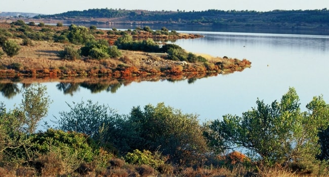 etang de leucate