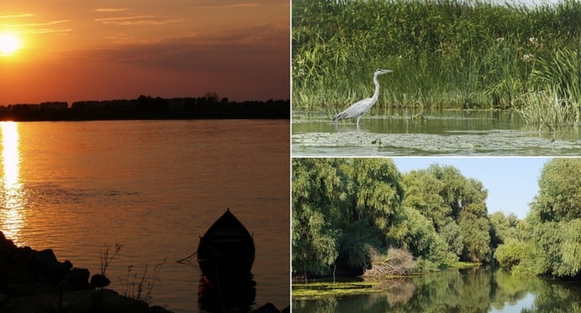 En route vers la Roumanie en camping-car_Delta du Danube