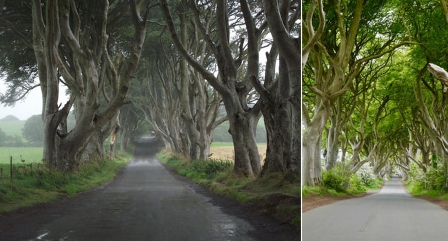 L'Irlande du Nord en camping-car_DarkHedges