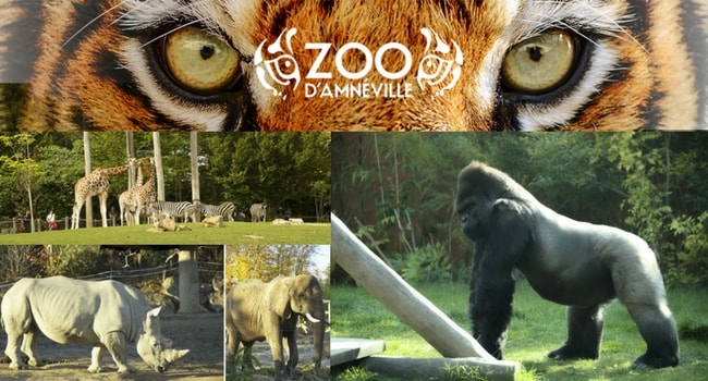 La tournée des zoos en camping-car_Amnéville