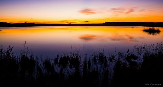 Laguna de Pitillas bardenas