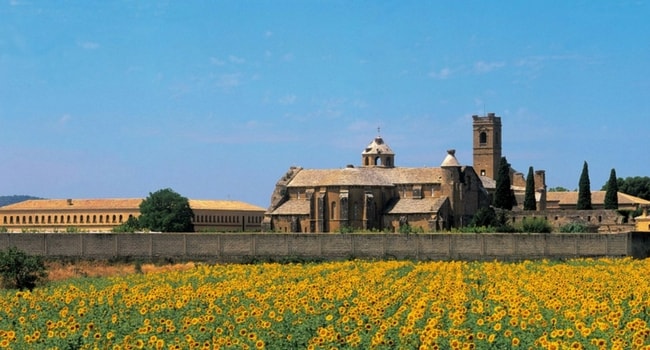 Monasterio de la Olivia bardenas