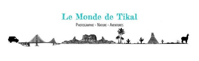 Le Monde de Tikal_Bandeau