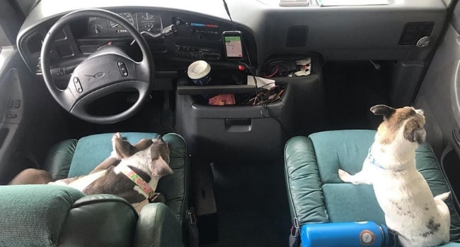 Panier de sécurité pour petits chiens ou chats - Camping-car, voiture