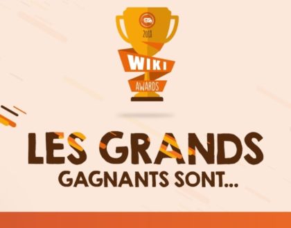 Gagnants des Wikiawards 2018_V2