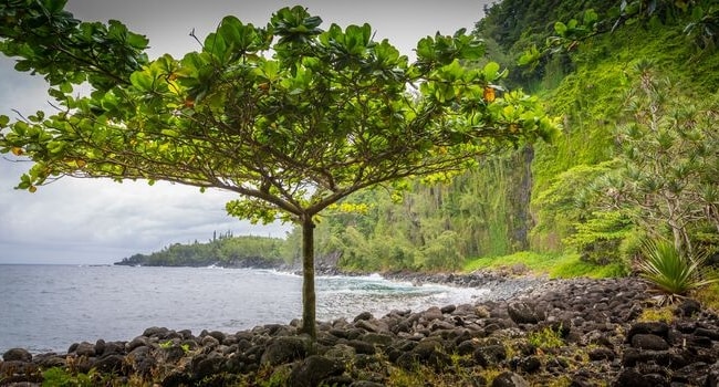 La Réunion en camping-car_L'Anse des Cascades