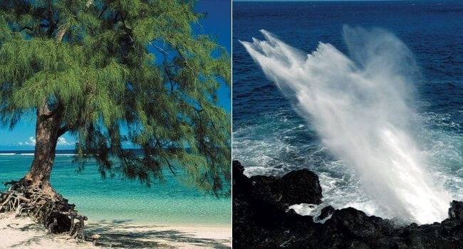 La réunion en camping-car_Plage de l Hermitage & Souffleur