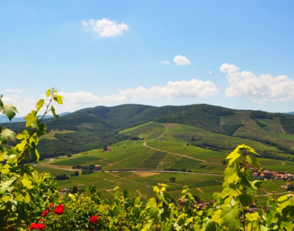 Excursion sur la route des vins du Beaujolais en camping-car