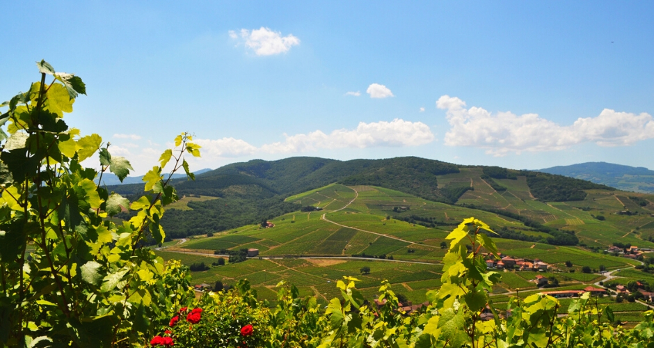 Excursion sur la route des vins du Beaujolais en camping-car