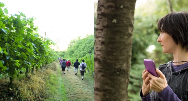 Excursion sur la route des vins du Beaujolais en camping-car