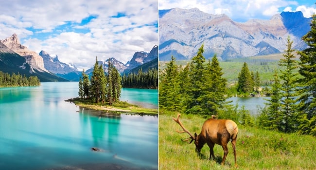 L'Ouest canadien en camping-car_Parc national de Jasper