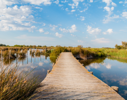 Camargue en camping-car