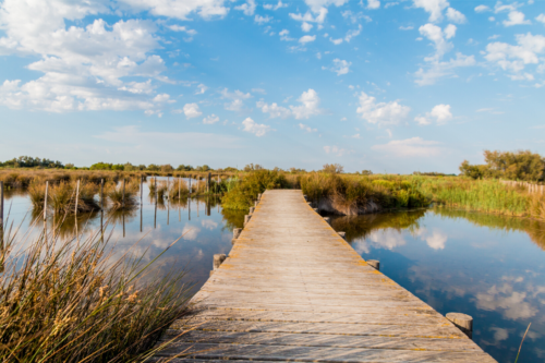 Camargue en camping-car