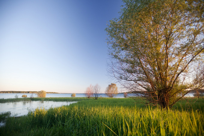 lac-foret-orient