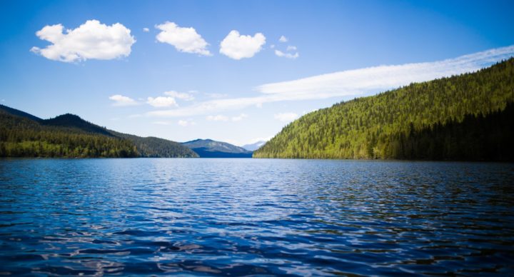 MICRO-AVENTURE LYON : ZOOM SUR LE LAC DES SAPINS