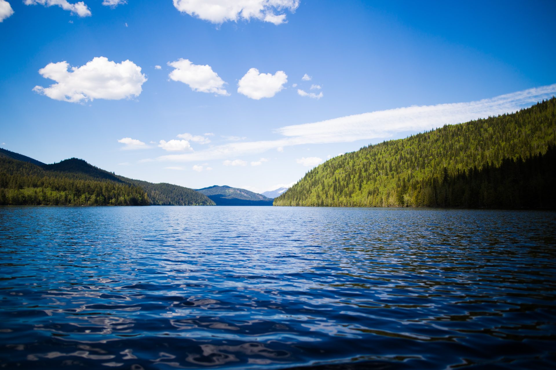 MICRO-AVENTURE LYON : ZOOM SUR LE LAC DES SAPINS