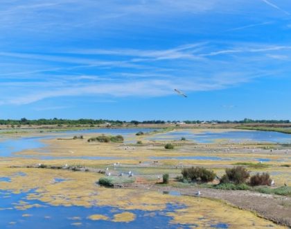 Où partir en van en mai ? Nos idées-destinations en France !