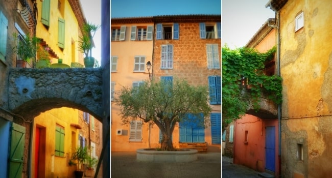 partir-en-mai-en-france_dracenie-villages des collines-la-motte-en-provence