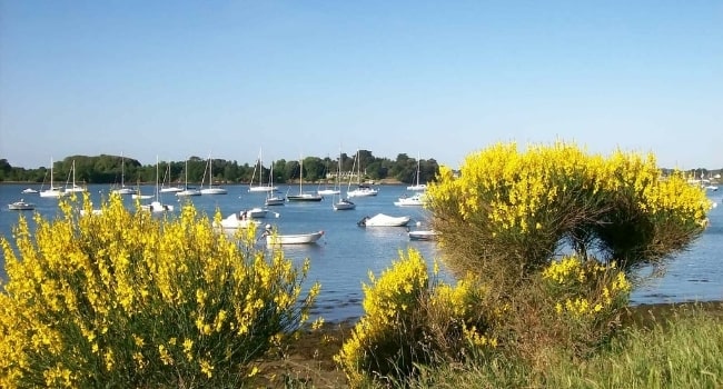 ou-partir-en-juin-en-france-golfe-du-morbihan