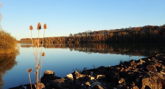 ou-partir-en-juin-en-france-parc -naturel-regional-de-la-foret-d-orient-lac