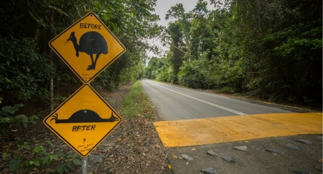 top-panneaux-insolites-apercus-sur-les-routes_avant_apres