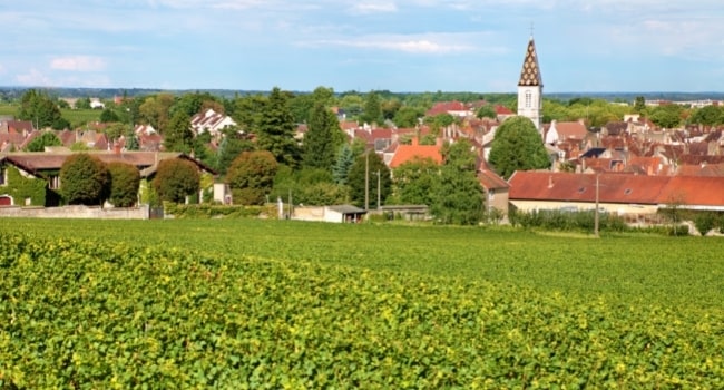 partir-en-aout-en-france_bourgogne-route-des-grands-crus-cote-de-nuits-nuits-saint-georges