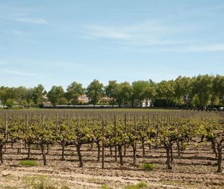 roadtrip-a-lisbonne-en-van-setubal-route-des-vins