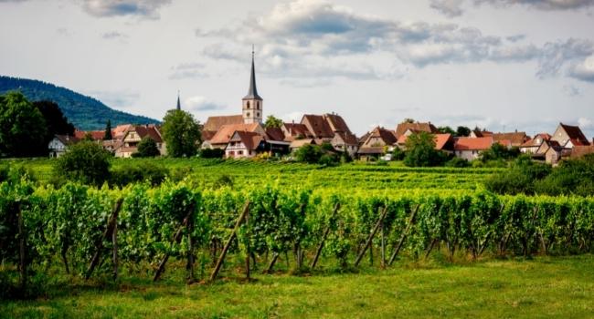 les-plus-belles-routes-a-faire-en-camping-car-en-france-route-des-vins-d-alsace