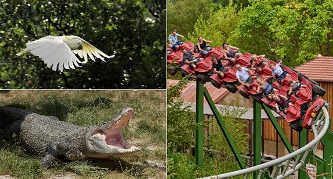 parcs-d-attractions-et-d-apprentissage-a-faire-en-camping-car-parc-le-pal